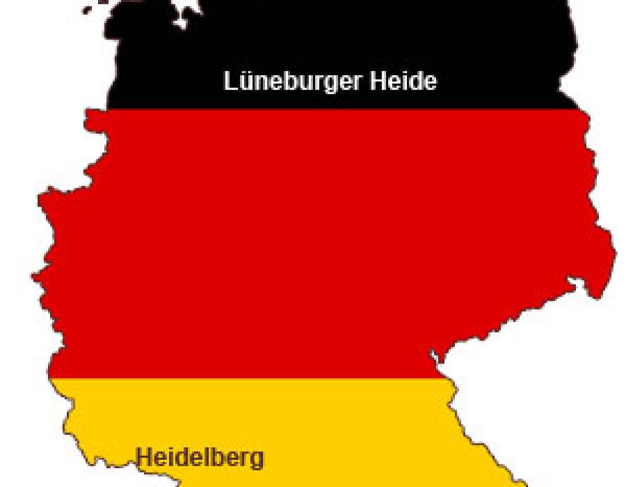 03_dflag.jpg